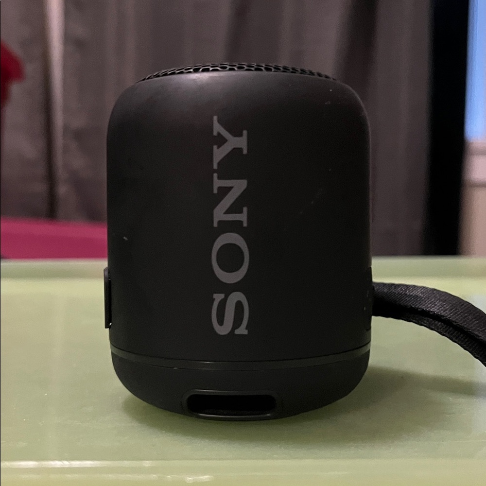 Sony Charcoal Gray Bluetooth Speaker